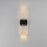 ET2 Lighting Rune 2 Light LED Outdoor Wall Sconce, Black/Clear