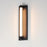 ET2 Lighting Fuse 1Lt 18" LED Outdoor Sconce, BK/Gold/Clear/WH