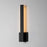 ET2 Lighting Alumilux Line 1 Light Outdoor Sconce 3000K