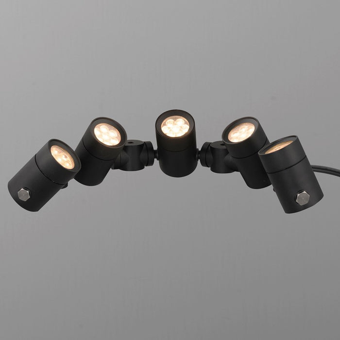 ET2 Lighting Tree Hugger 5-Light Tree Spot Light, Black