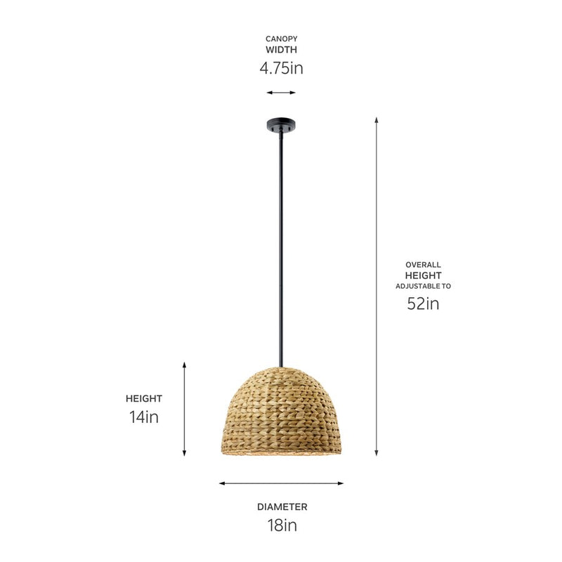 Kichler Raffiana 1 Light Mini Pendant, Black/Clear Satin Etched