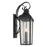 Kichler Forestdale 2 Light Outdoor Wall Light, Large, Black/Seed