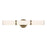 Kichler Rosh 1 Light 24" Linear Bath, Champagne Bronze/White