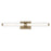 Kichler Laurene 2 Light Linear Bath Large, Champagne Bronze/Clear