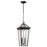 Kichler Regence 2Lt Outdoor Hanging Pendant, Olde Bronze/Clear Beveled - 59130OZ