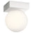 Elan Mates 20" Flush Glass Only, Etched Opal - 83982