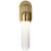 Elan Sorno 1 Light Wall Bracket, Champagne Gold/Satin Etched Cased Opal