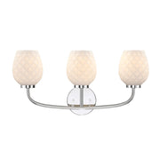 Designers Fountain Dita 3Lt 23" Vanity, Nickel/Etched Opal - D289M-3B-PN