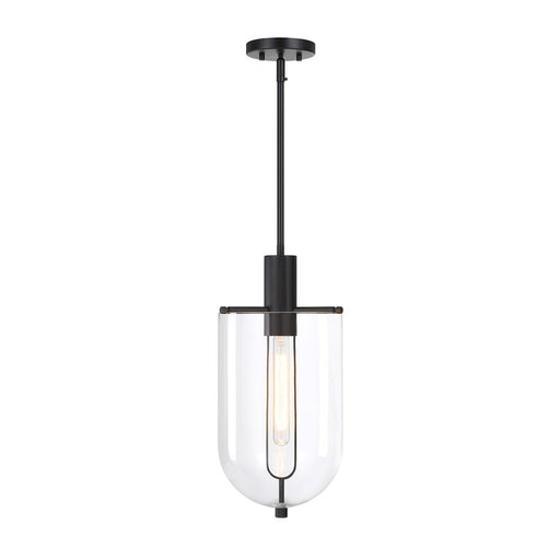 Designers Fountain Skylar 1Lt 10" Down Pendant, Black/Clear - D332M-10P-MB