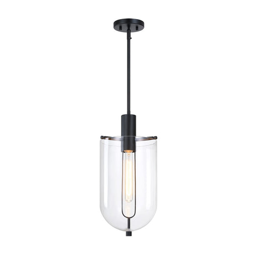 Designers Fountain Skylar 1Lt 10" Down Pendant, Black/Clear