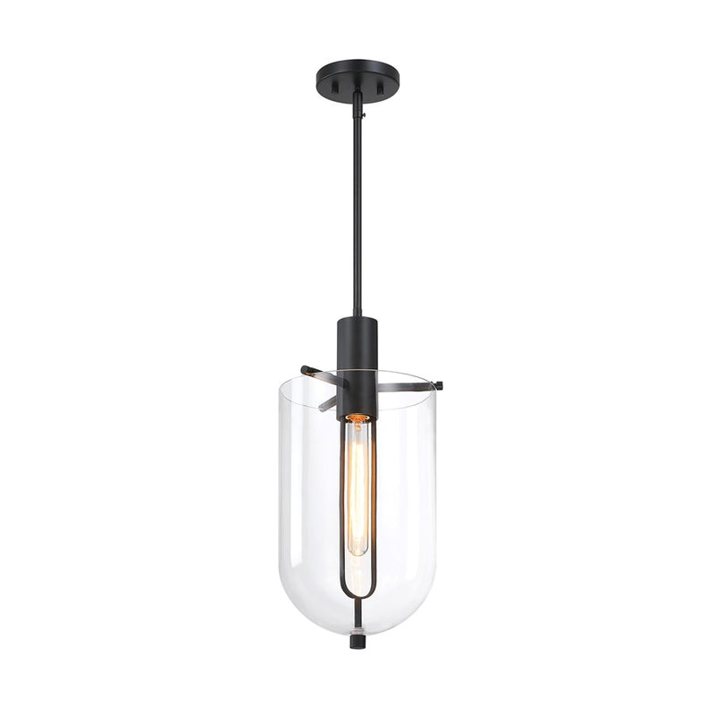 Designers Fountain Skylar 1Lt 10" Down Pendant, Black/Clear