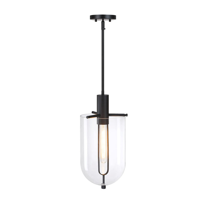 Designers Fountain Skylar 1Lt 10" Down Pendant, Black/Clear