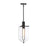 Designers Fountain Skylar 1Lt 10" Down Pendant, Black/Clear