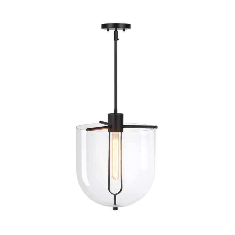 Designers Fountain Skylar 1Lt 15" Down Pendant, Black/Clear