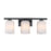 Designers Fountain Bluestone Ridge 3Lt 24" Vanity, BLK/Cloud
