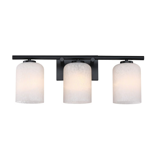 Designers Fountain Bluestone Ridge 3Lt 24" Vanity, BLK/Cloud