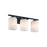 Designers Fountain Bluestone Ridge 3Lt 24" Vanity, BLK/Cloud