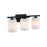 Designers Fountain Bluestone Ridge 3Lt 24" Vanity, BLK/Cloud