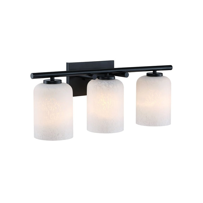Designers Fountain Bluestone Ridge 3Lt 24" Vanity, BLK/Cloud