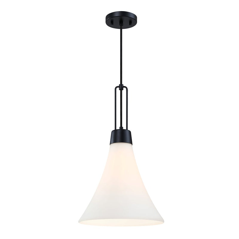 Designers Fountain Evergreen Oasis 1Lt 12" Pendant, BLK/Opal