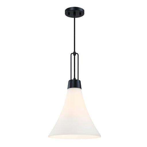 Designers Fountain Evergreen Oasis 1Lt 12" Pendant, BLK/Opal