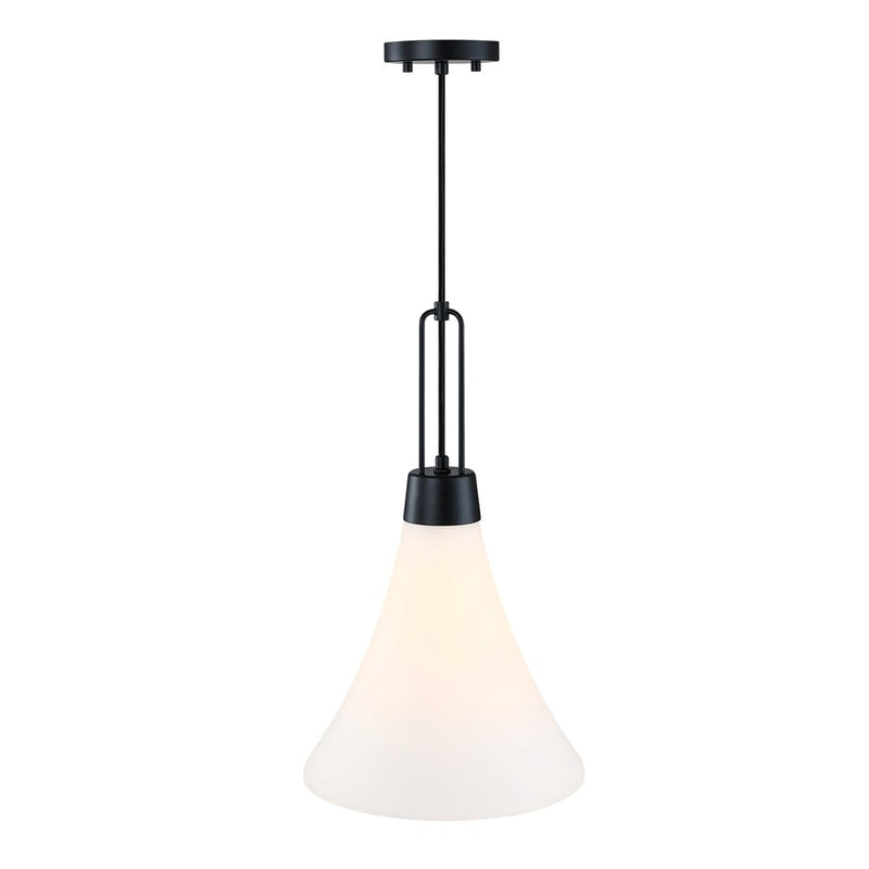 Designers Fountain Evergreen Oasis 1Lt 12" Pendant, BLK/Opal