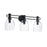 Designers Fountain Astra 3Lt 24" Vanity, Black/Clear Ice