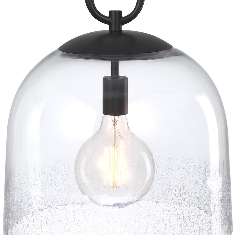 Designers Fountain Astra 1Lt 14" Globe Pendant, Black/Clear Ice