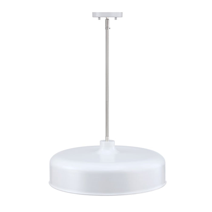Designers Fountain Forbidden Springs 8Lt Down Pendant, White