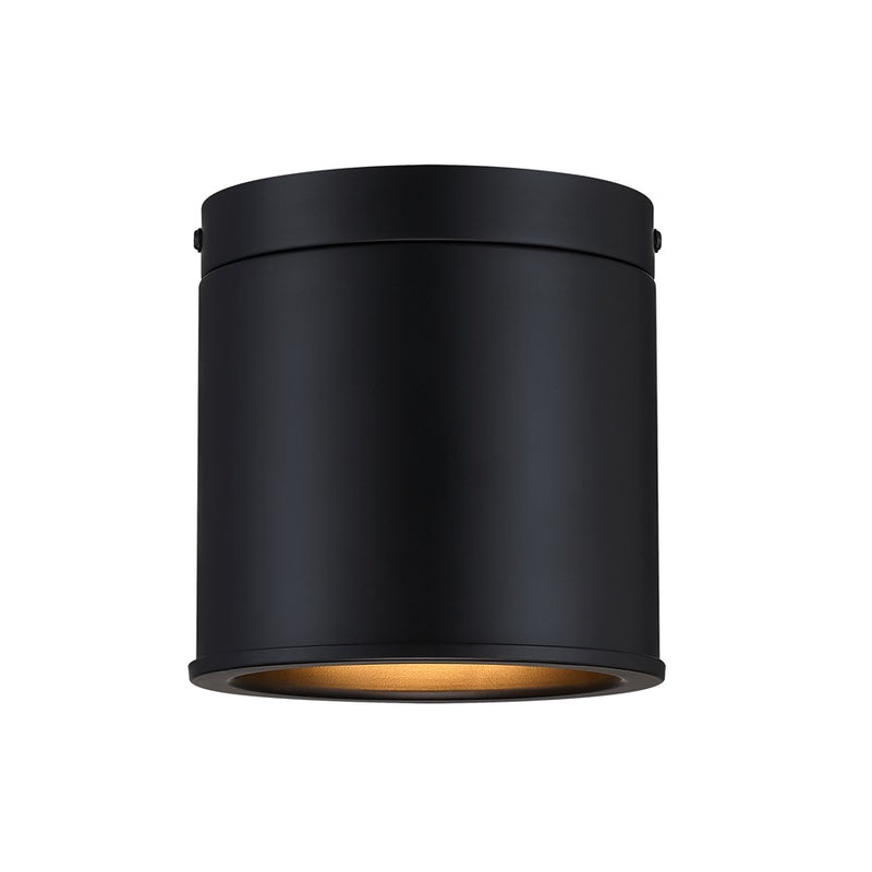 Designers Fountain Fleur Oasis 1Lt Flush Mount, Black