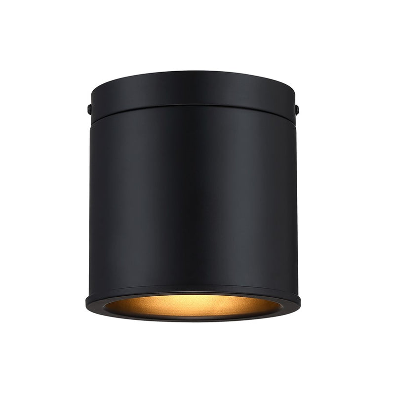 Designers Fountain Fleur Oasis 1Lt Flush Mount, Black