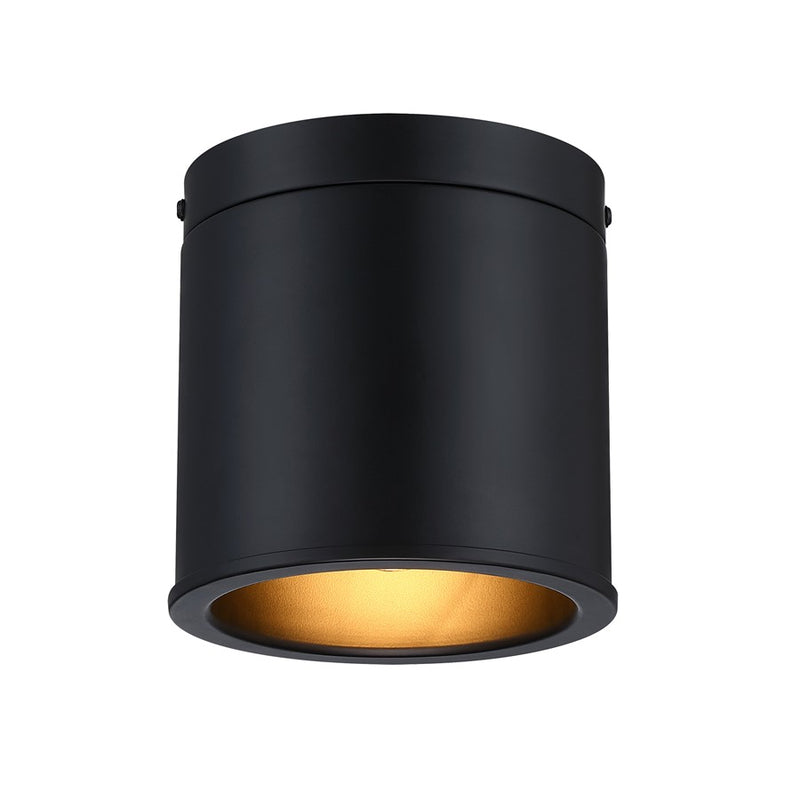 Designers Fountain Fleur Oasis 1Lt Flush Mount, Black