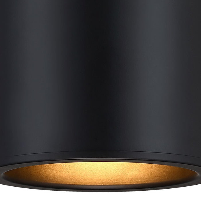 Designers Fountain Fleur Oasis 1Lt Flush Mount, Black