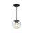 Designers Fountain Neva 1Lt Globe Pendant, Black/Clear Iridescent