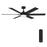 Designers Fountain Chillion 1Lt 60" Ceiling Fan, Matte Black - FR-CLN60RGB-MB