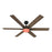 Designers Fountain Chillion 1Lt 60" Ceiling Fan, Matte Black