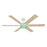 Designers Fountain Chillion 1Lt 60" Ceiling Fan, Matte White