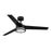Designers Fountain Cassini 1Lt 52" Ceiling Fan, Matte Black
