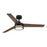 Designers Fountain Cassini 1Lt 52" Ceiling Fan, Matte Black