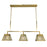 Framburg Avery 3 Light Island Chandelier, Brass - F-5899BR