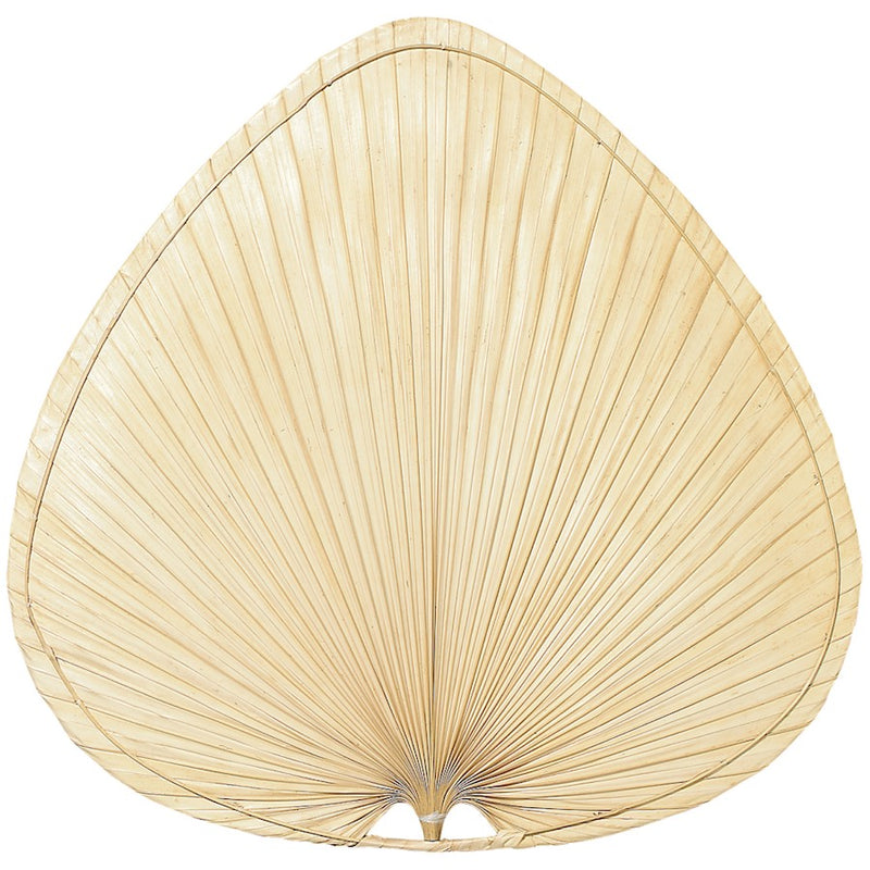 Fanimation Brewmaster 22in Natural Palm Fan Blades Set of 2 | Composite Palm | Ceiling Fan Replacement Blades | 22 x 22 x 22 in | Model BMP1