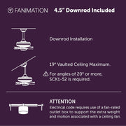 Fanimation Spitfire 48in Ceiling Fan (No Light) | Matte White and Washed White Buttonwood Blades | Covered Patio & Porch | Model FP6721BMW-48WW