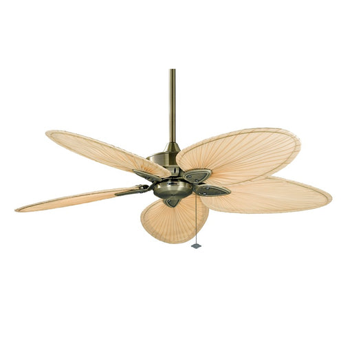Fanimation Windpointe 52in 5-Blade Ceiling Fan | Antique Brass and Natural Palm | Living Room & Covered Patio | 52in Sweep, 2633 CFM | Model FP7500AB