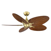 Fanimation Islander DC 52in 5-Blade Smart Ceiling Fan | Brushed Satin Brass and Koa Narrow Oval Composite Blades | Covered | Model FPD3250BS-52NOK