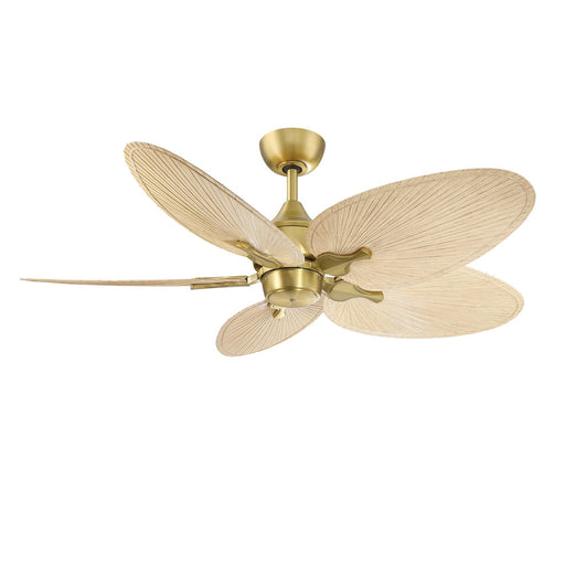 Fanimation Islander DC 52in 5-Blade Smart Ceiling Fan | Brushed Satin Brass and Natural Narrow Oval Composite Blades | Model FPD3250BS-52NON
