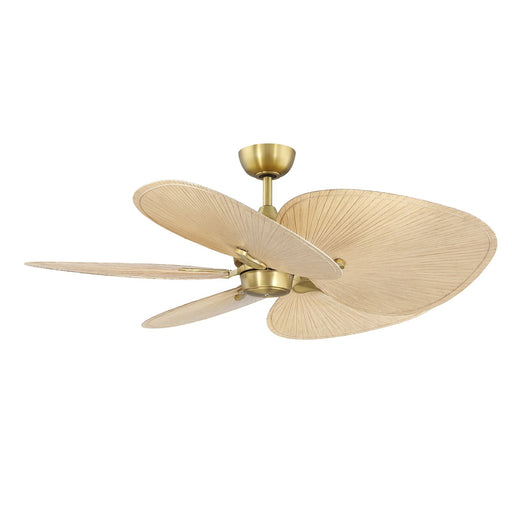 Fanimation Islander DC 52in Smart Ceiling Fan | Brushed Satin Brass and Natural Composite Blades | Covered Patio & Sunroom | Model FPD3250BS-52WON