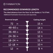 Fanimation Spitfire DC Custom 64in Smart Ceiling Fan | Antique Graphite and Natural Buttonwood Blades | Covered Patio | Model FPD6721BAGP-64N