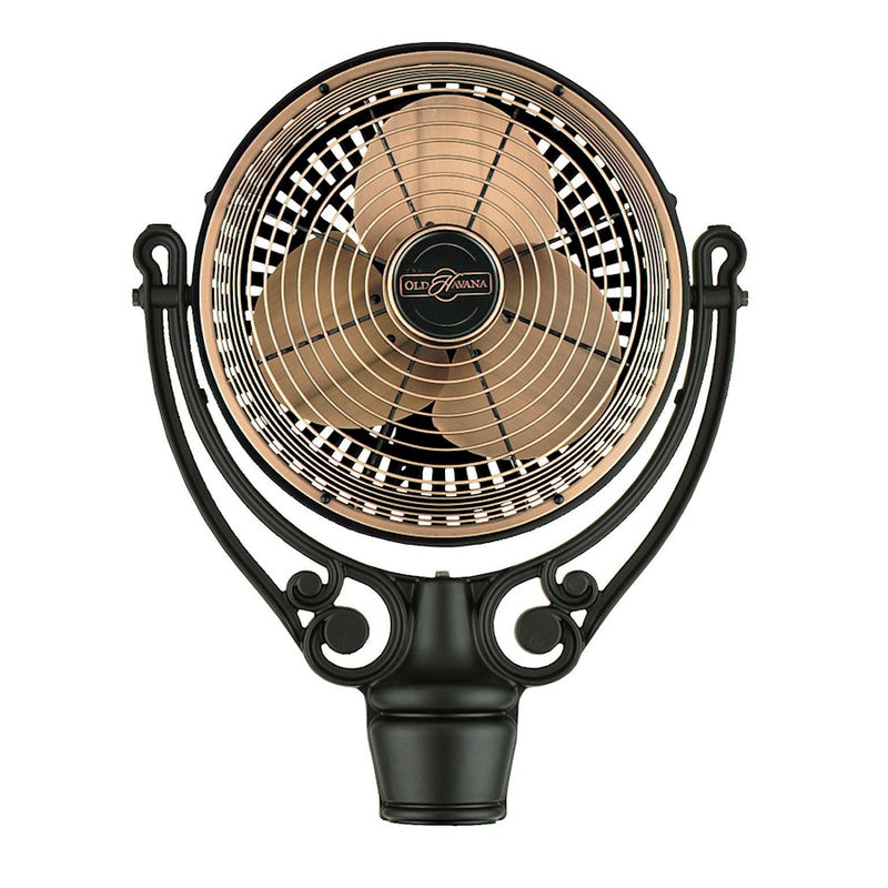 Fanimation Old Havana Motor Assembly | Antique Copper Finish | Ceiling Fan Motor for Living Room & Bedroom | 24 x 19 x 24 in | Model FPH210AC