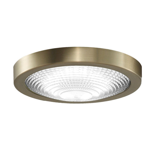 Fanimation Spitfire 7in LED Light Kit | Brushed Satin Brass and Frosted Fresnel | Ceiling Fan Light Kit for Indoor & Outdoor Damp | Model LK6721BDCBS
