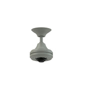 Fanimation Spitfire 60in 3-Blade Ceiling Fan Motor | Antique Graphite Finish | Indoor & Covered Patio | 60 x 60 x 12 in | Model MA6721BAGP